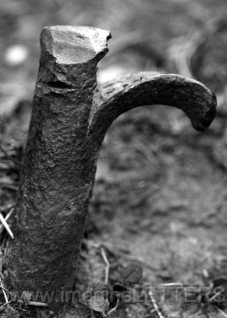 Wall_Art_Alphabet_Photography_Art_ 1919.jpg